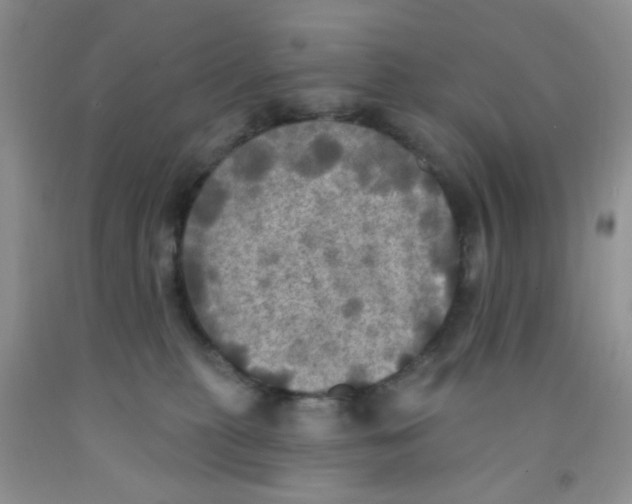 X0000091350279200709071245