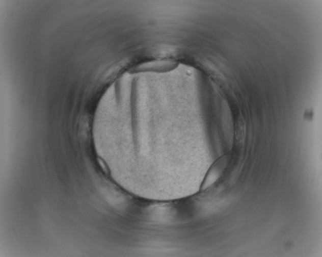 X0000091350280200709071245