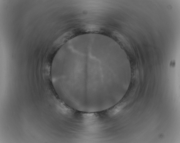 X0000091350281200709071245