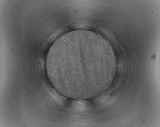 X0000091350282200709071245