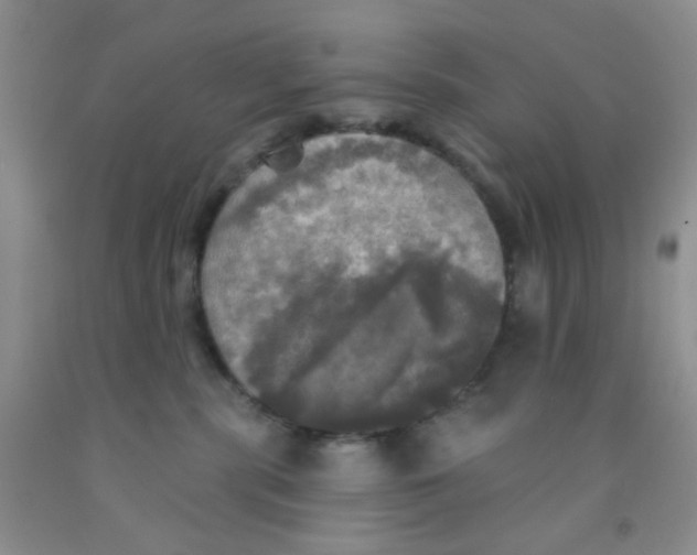 X0000091350283200709071245