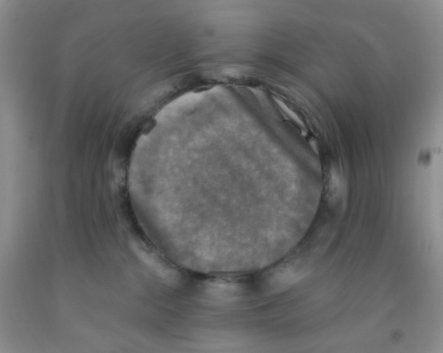X0000091350284200709071245