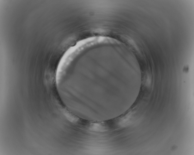 X0000091350285200709071245
