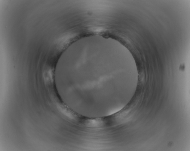 X0000091350286200709071245