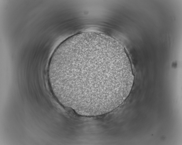 X0000091350289200709071244