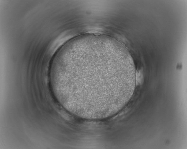 X0000091350291200709071244