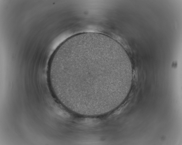 X0000091350292200709071244