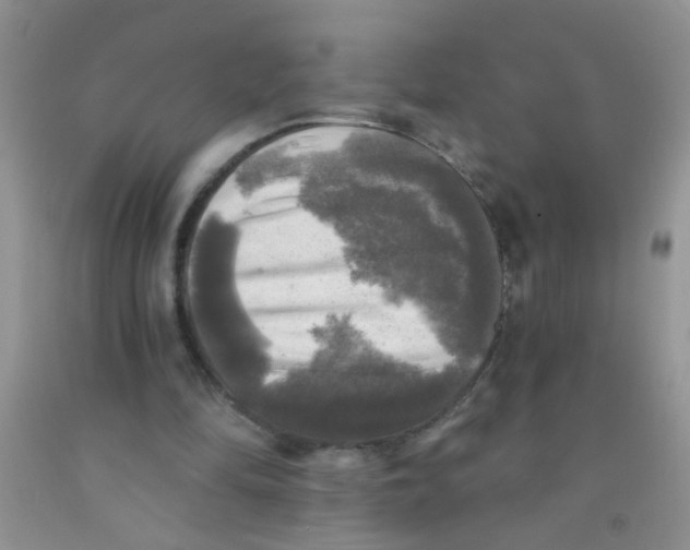 X0000091350294200709071244