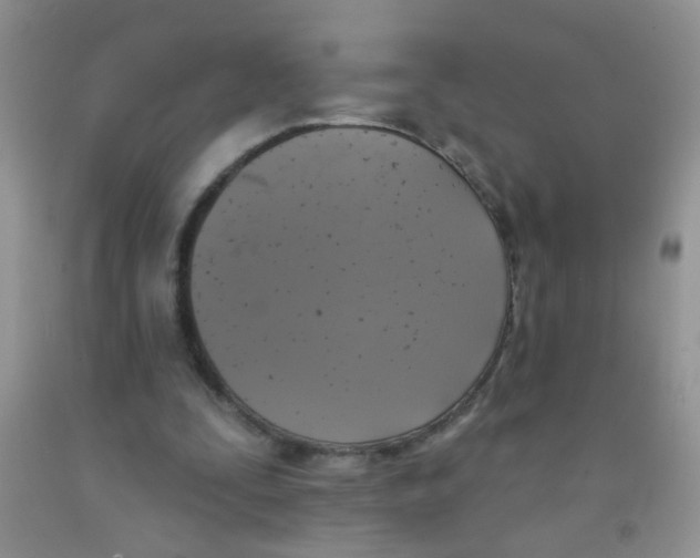X0000091350295200709071244