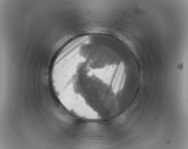 X0000091350298200709071244