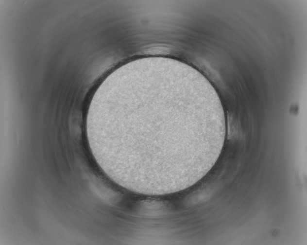 X0000091350300200709071244