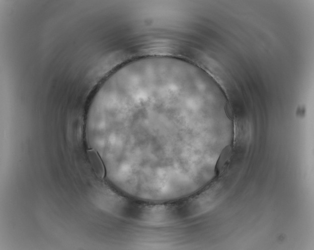X0000091350301200709071244