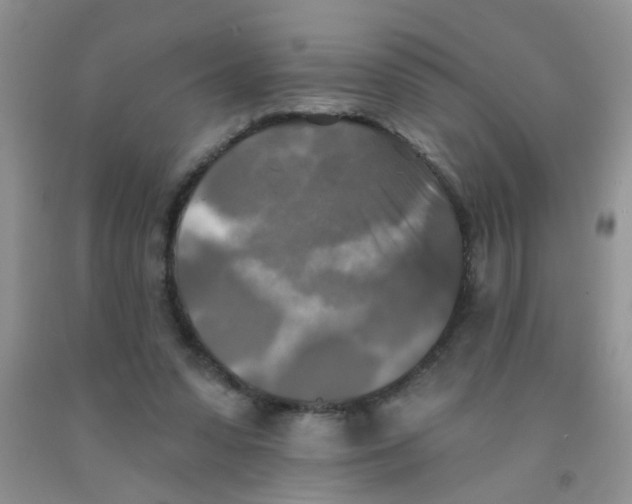 X0000091350303200709071244