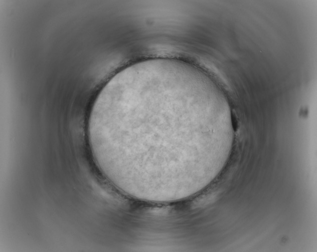 X0000091350306200709071244