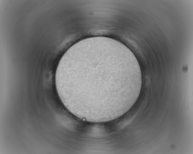 X0000091350308200709071244