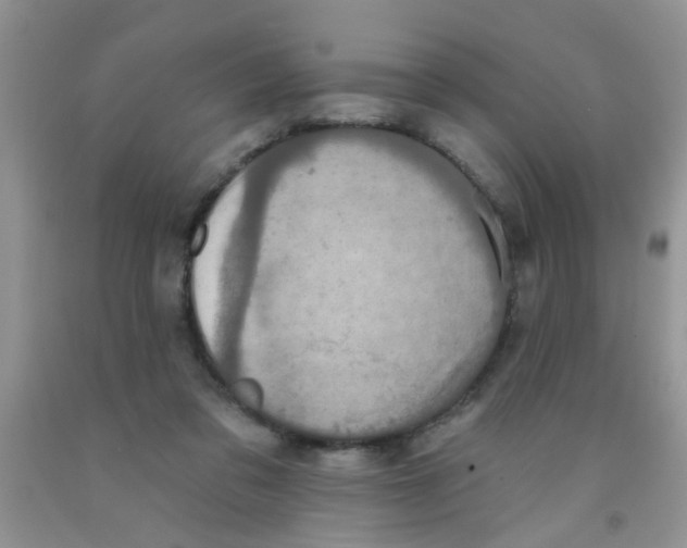 X0000091350309200709071244