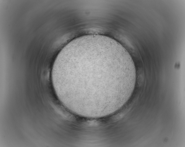 X0000091350310200709071244