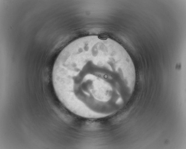 X0000091350311200709071244