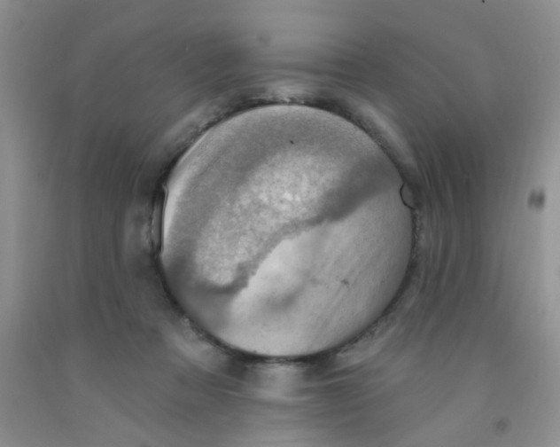 X0000091350313200709071244