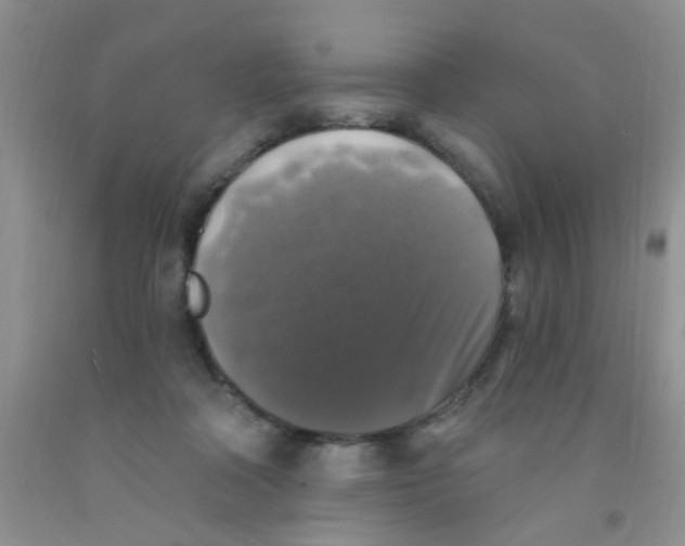 X0000091350314200709071244