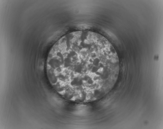 X0000091350315200709071244