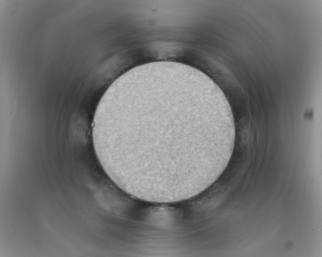 X0000091350316200709071244