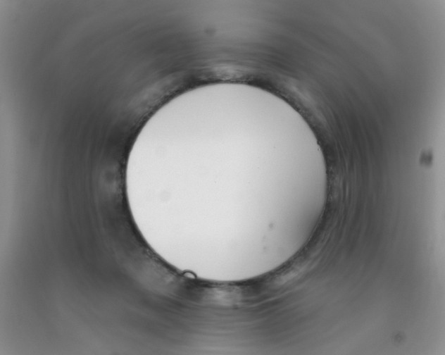 X0000091350317200709071244