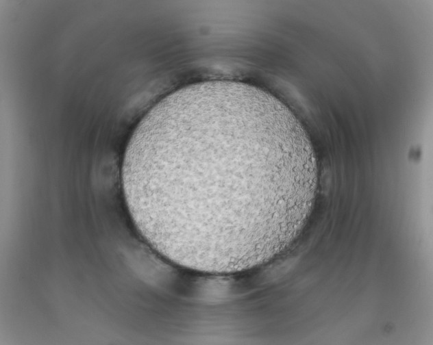 X0000091350318200709071244