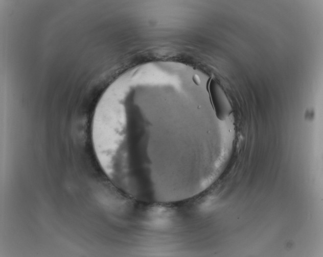X0000091350319200709071244