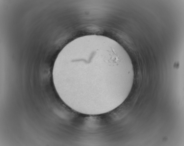 X0000091350320200709071244