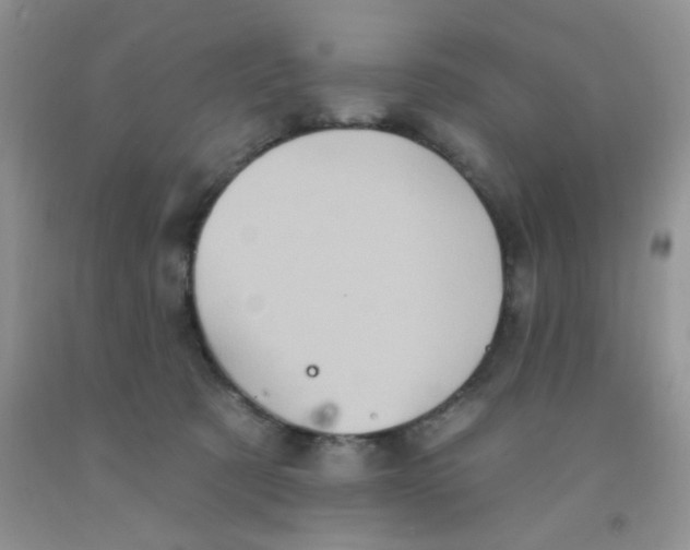 X0000091350321200709071244