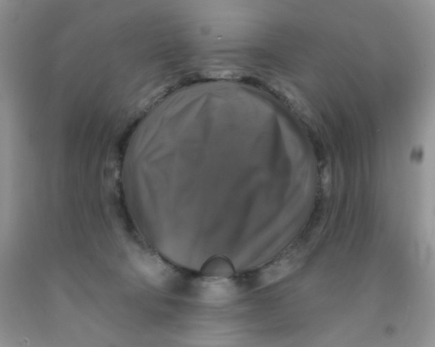 X0000091350322200709071244