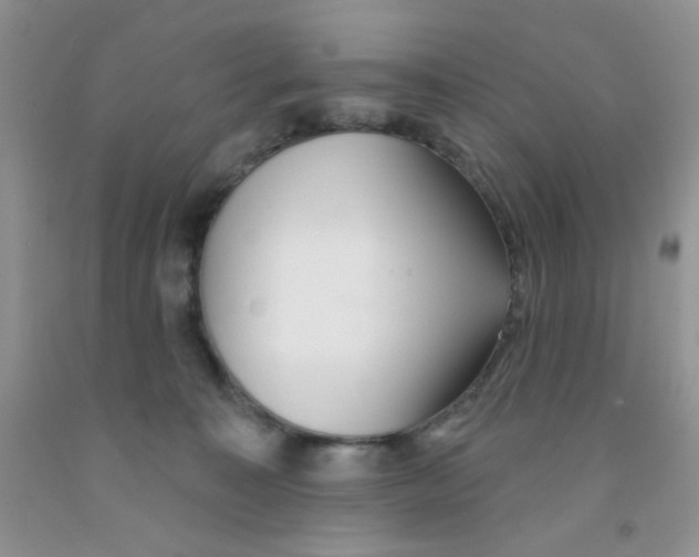 X0000091350323200709071244