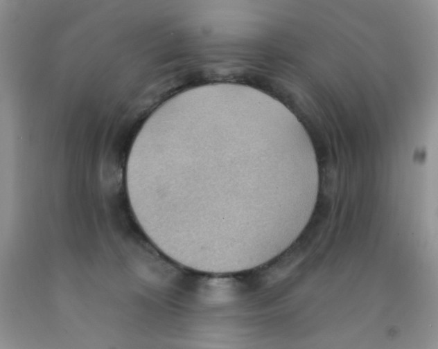 X0000091350324200709071244