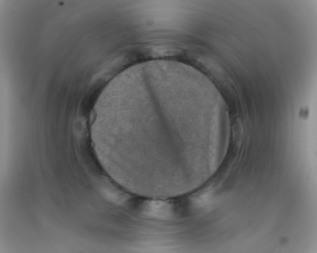 X0000091350327200709071244