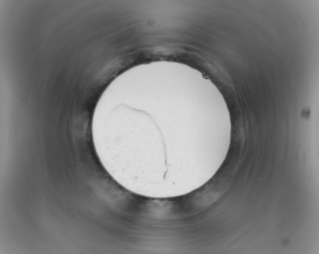 X0000091350328200709071244