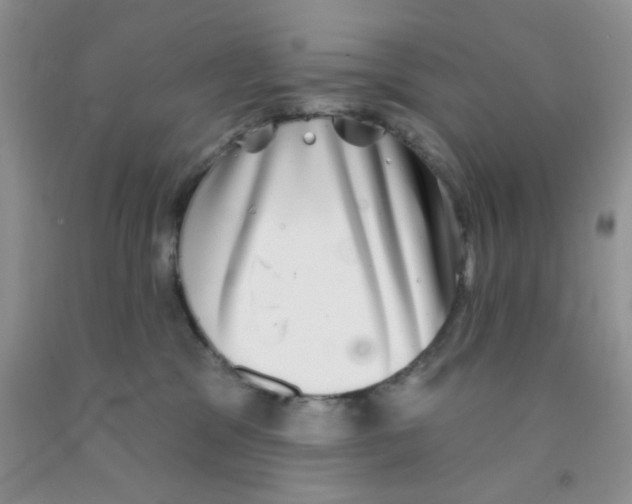 X0000091350329200709071244
