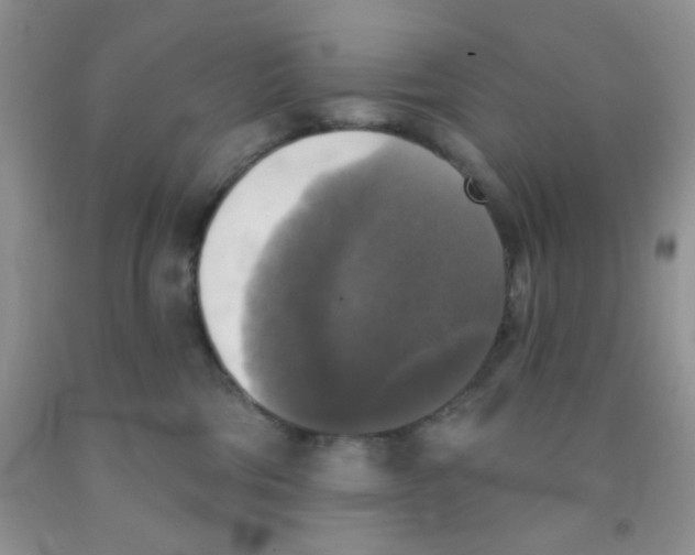 X0000091350330200709071244