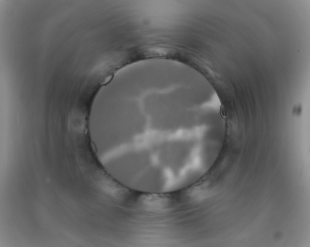 X0000091350331200709071244