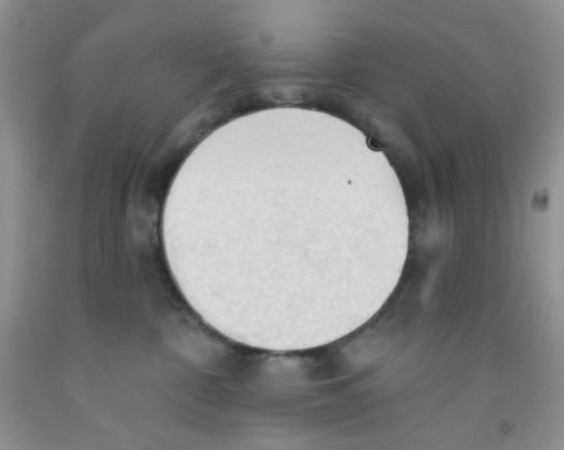 X0000091350332200709071244