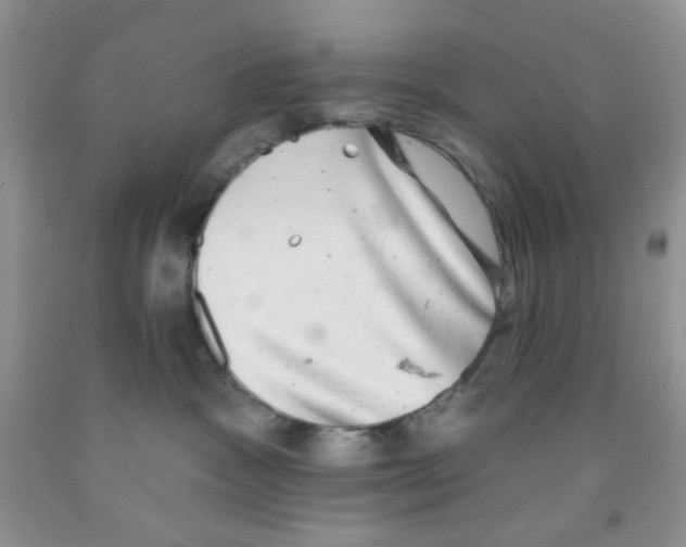 X0000091350333200709071244