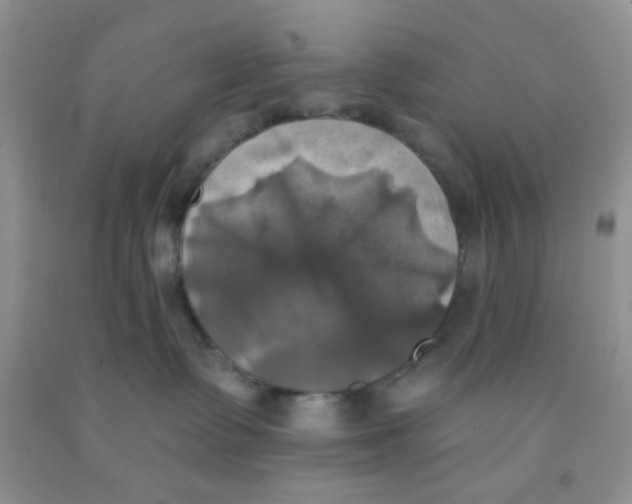 X0000091350335200709071243