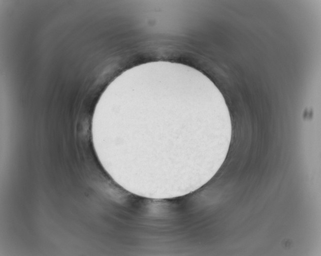 X0000091350336200709071243