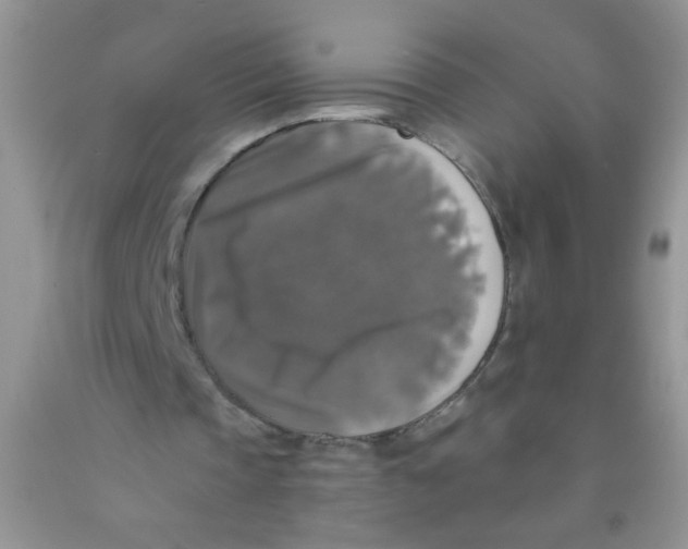 X0000091350337200709071243