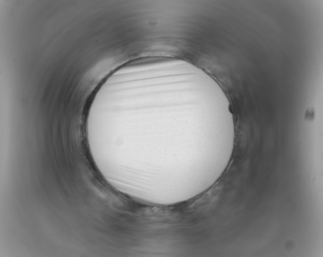 X0000091350338200709071243