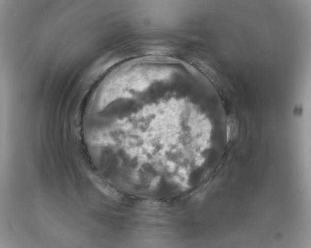 X0000091350339200709071243