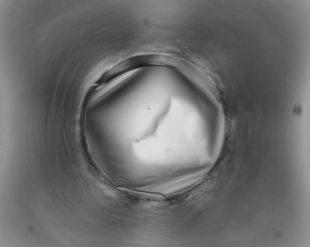 X0000091350340200709071243