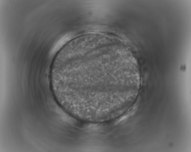 X0000091350341200709071243