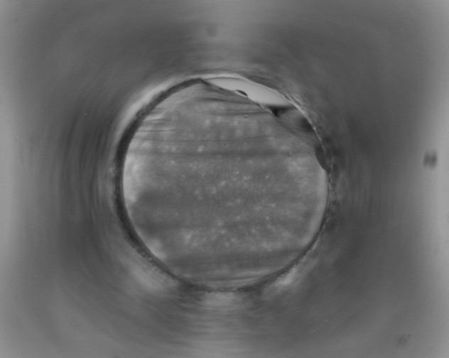 X0000091350342200709071243