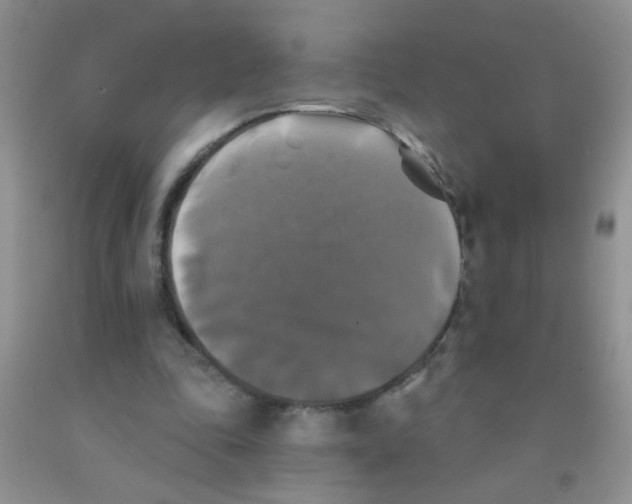 X0000091350343200709071243